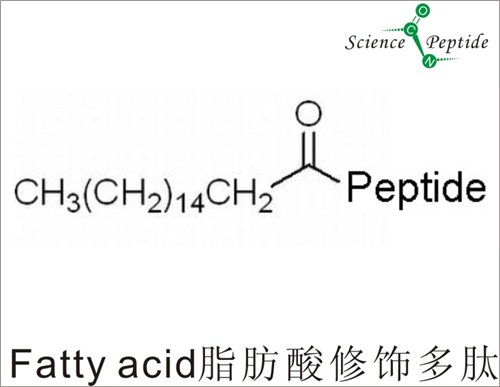 Fatty acid脂肪酸修饰多肽/科肽供脂肪酸修饰多肽直销